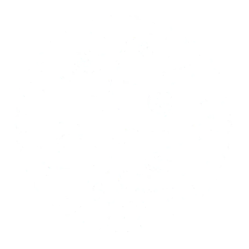 Paisley Hair Design logo